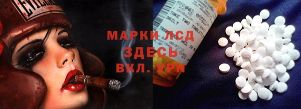 гидропоника Гусиноозёрск