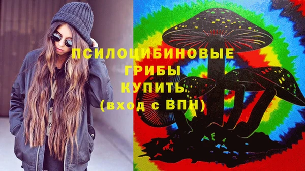 крисы Гусь-Хрустальный