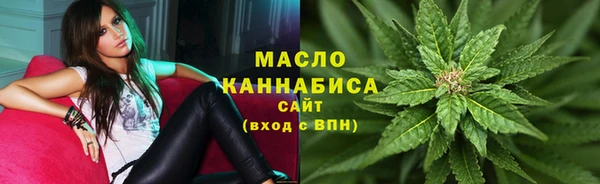 гидропоника Гусиноозёрск