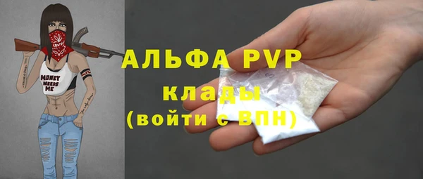 гидропоника Гусиноозёрск
