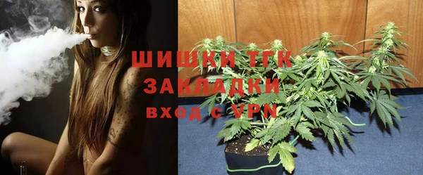 крисы Гусь-Хрустальный