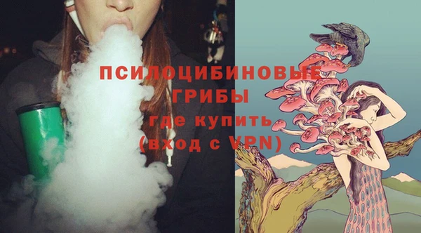 крисы Гусь-Хрустальный