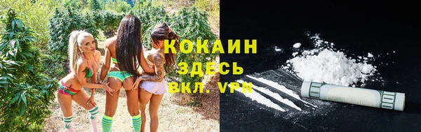 крисы Гусь-Хрустальный
