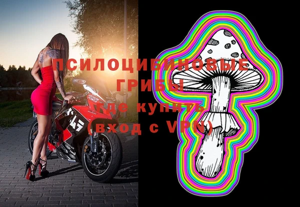 крисы Гусь-Хрустальный
