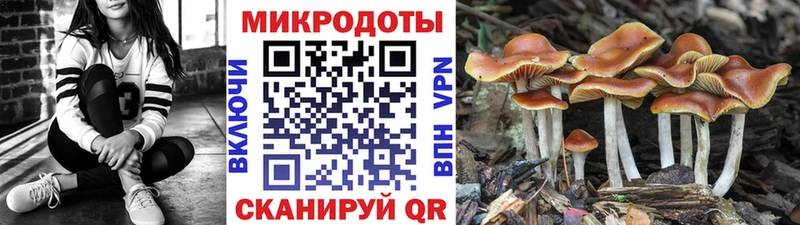 наркота  Тверь  Галлюциногенные грибы ЛСД 